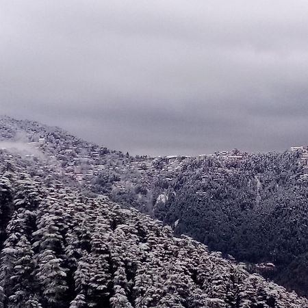 מלון Shimla Regency מראה חיצוני תמונה