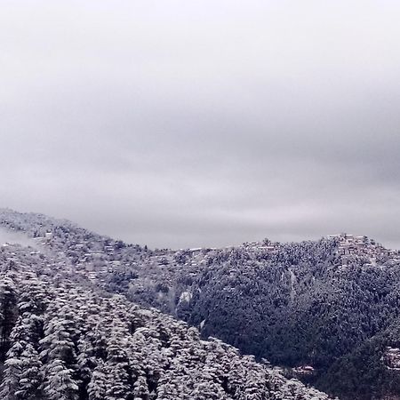 מלון Shimla Regency מראה חיצוני תמונה