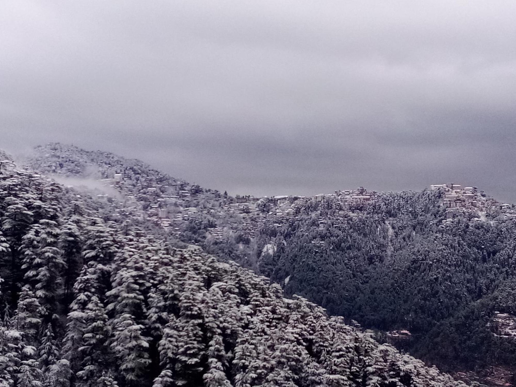 מלון Shimla Regency מראה חיצוני תמונה